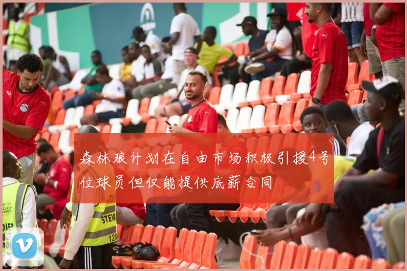 森林狼计划在自由市场积极引援4号位球员但仅能提供底薪合同