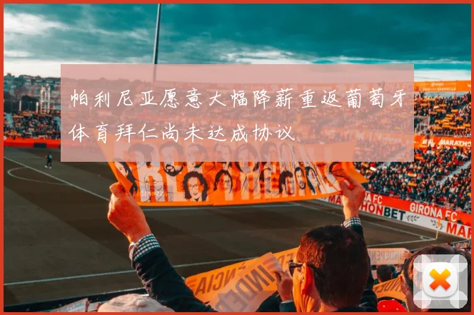 帕利尼亚愿意大幅降薪重返葡萄牙体育拜仁尚未达成协议