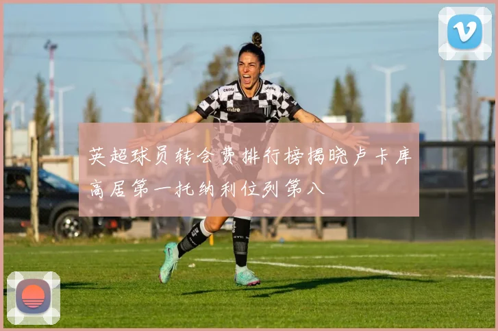 英超球员转会费排行榜揭晓卢卡库高居第一托纳利位列第八